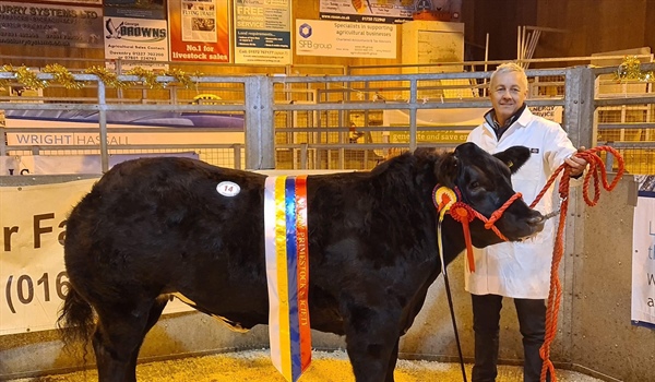 Christmas Primestock Show