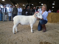 Ewe Lamb Show & Sale, Wiltshire Horn Plus Smallholders Sale