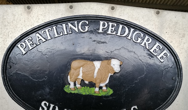 Farm Sale on behalf of W R Eales & Son. Sale of Peatling Pedigree Simmentals & Machinery